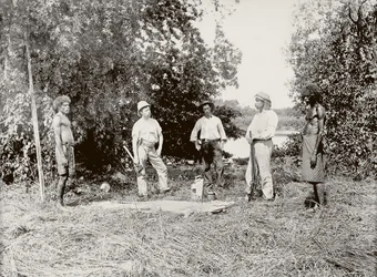 Dr. Stirling, Alligatorjagd am Daly River